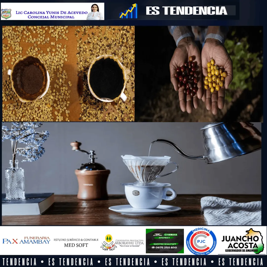 Dia Mundial do Café: teste seus conhecimentos sobre a bebida queridinha dos brasileiros