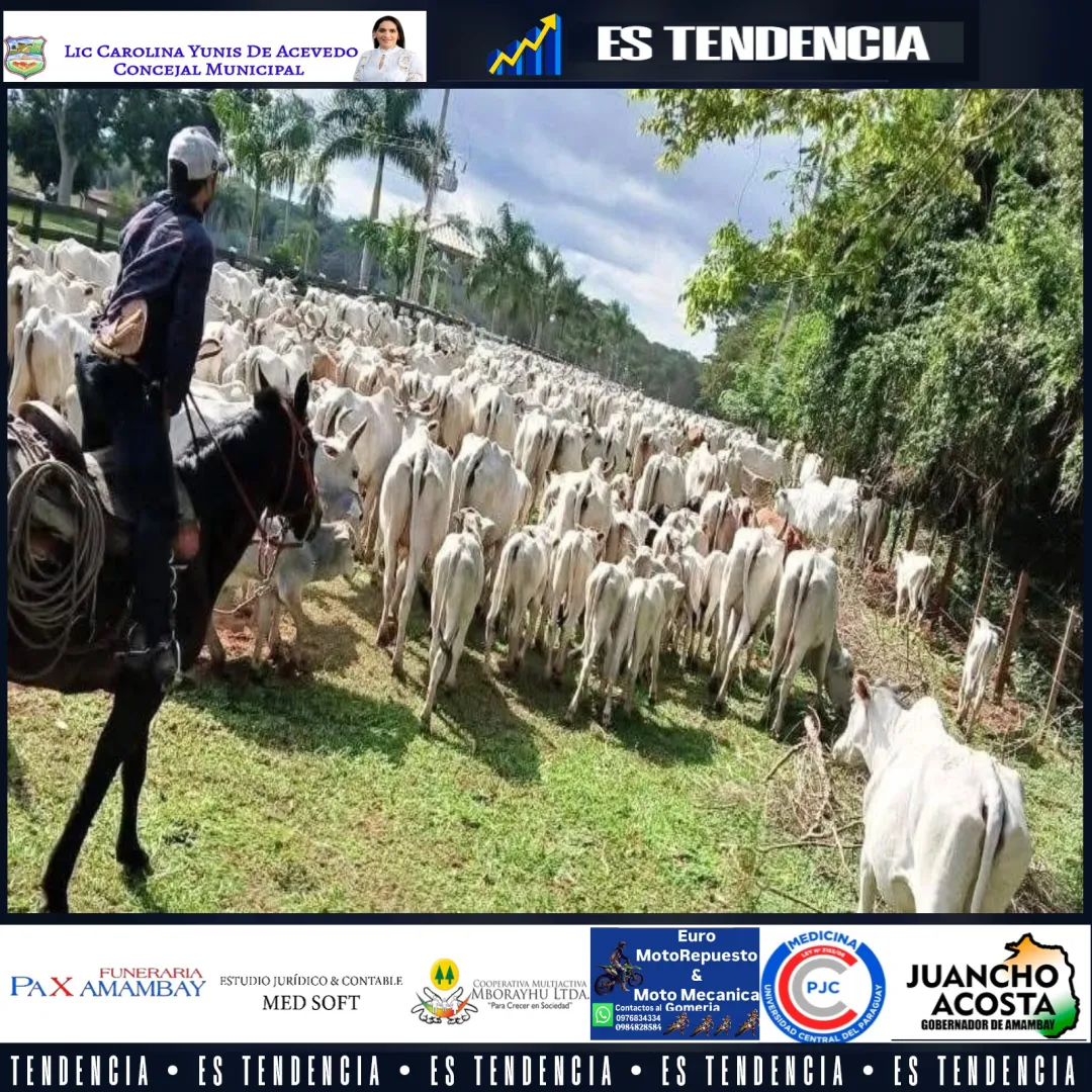 Policía recupera 500 cabezas de ganado hurtadas de la estancia de Lalo Gomes