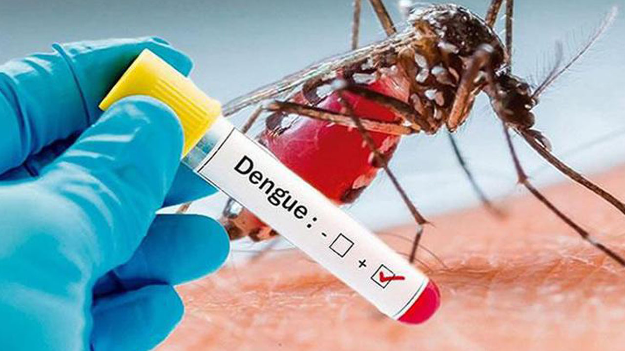 Salud reitera los signos de alarma del chikunguña