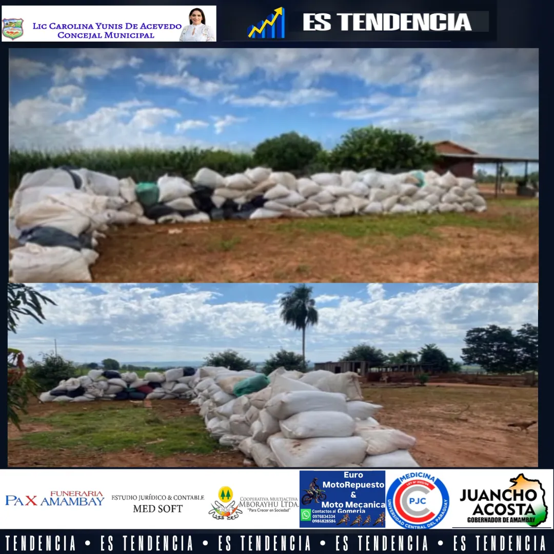 17 Toneladas de Marihunas, evidencias incautadas y varios detenidos  en Capitan Bado, tras procedimiento de la SENAD. 