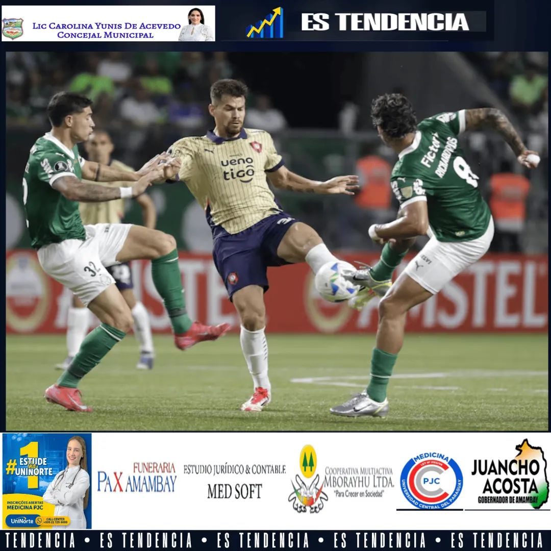 Cerro peleó, pero cayó ante Palmeiras